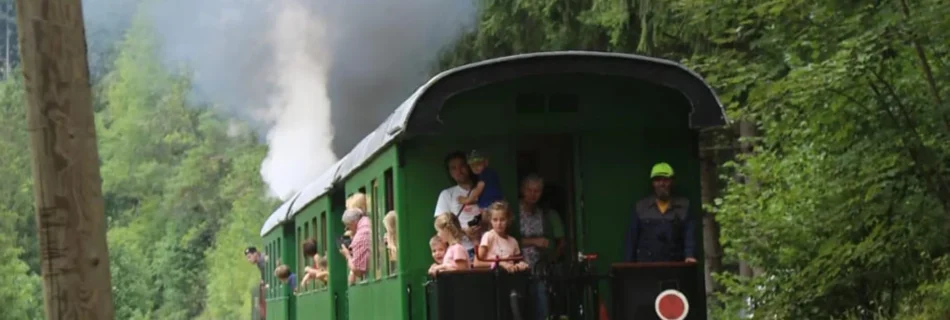 Feistritztalbahn mit Menschen im Zug.