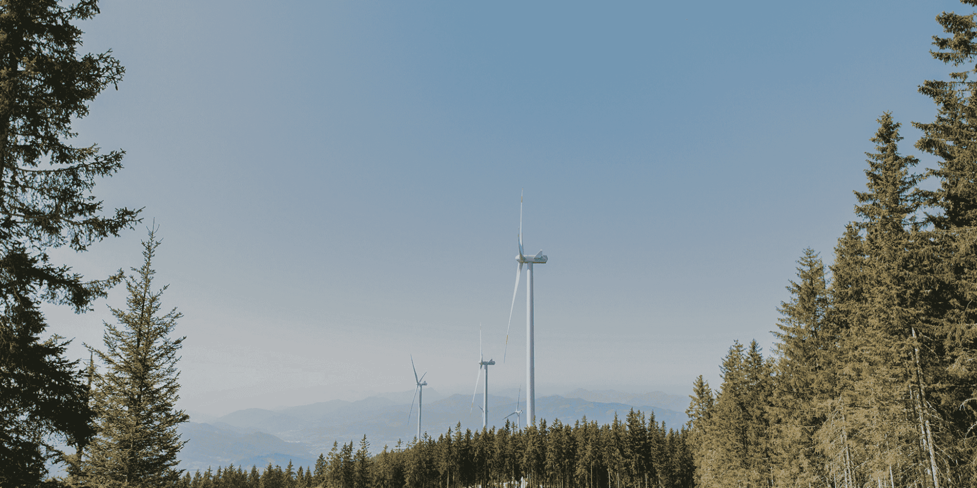 Windräder auf der Stanglalm zwischen Bäumen im Almenland.