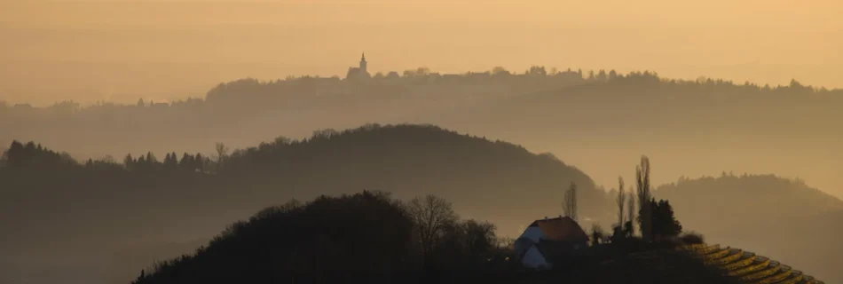 Hügellandschaft mit Weinbergen in herbstlichem Licht.