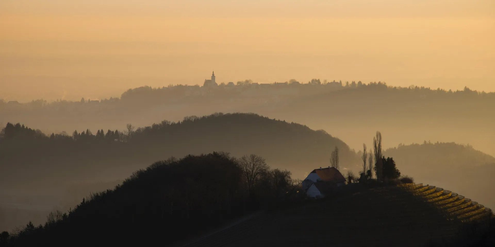 Hügellandschaft mit Weinbergen in herbstlichem Licht.