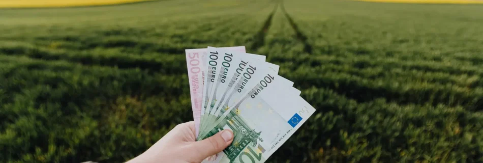 Eine Person hält mehrere hundert Euro in die Luft. Dahinter ist ein Feld zu erkennen