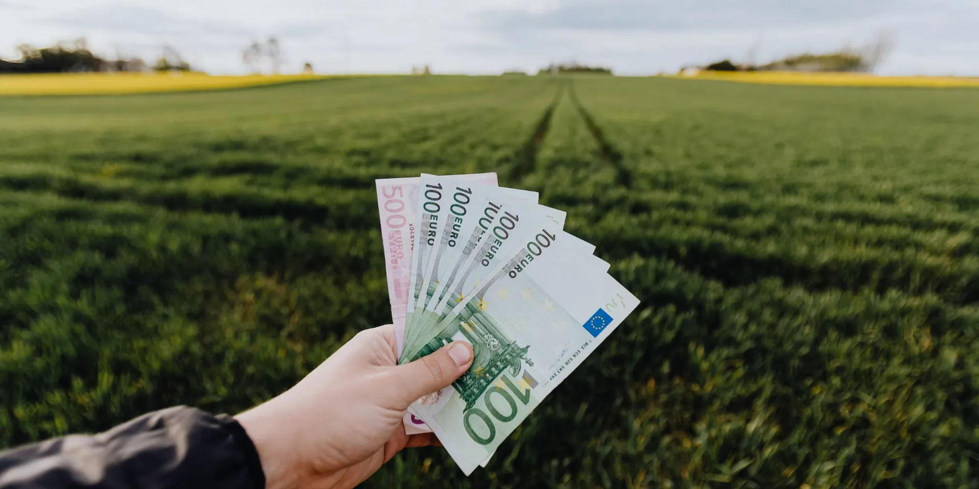 Eine Person hält mehrere hundert Euro in die Luft. Dahinter ist ein Feld zu erkennen