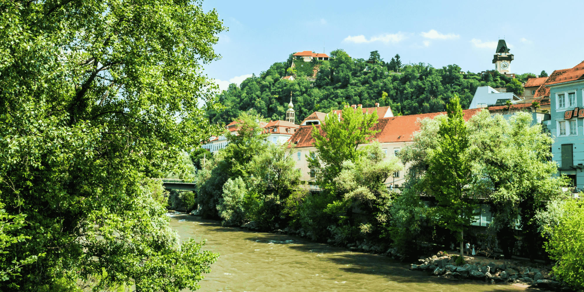 Blick auf die Mur in Graz mit dem Schloßberg im Hintergrund, der durch Bäume und Häuser verdeckt wird. Im Vordergrund sind Bäume und Sträucher zu sehen.