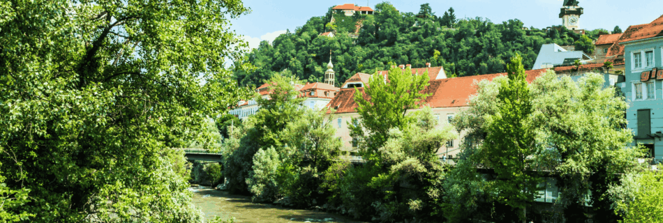 Blick auf die Mur in Graz mit dem Schloßberg im Hintergrund, der durch Bäume und Häuser verdeckt wird. Im Vordergrund sind Bäume und Sträucher zu sehen.
