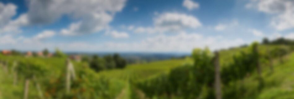 Steiermark