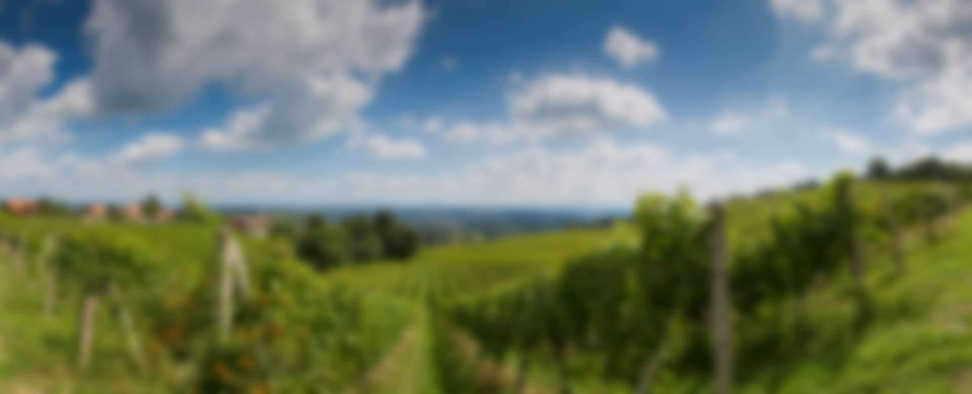 Steiermark