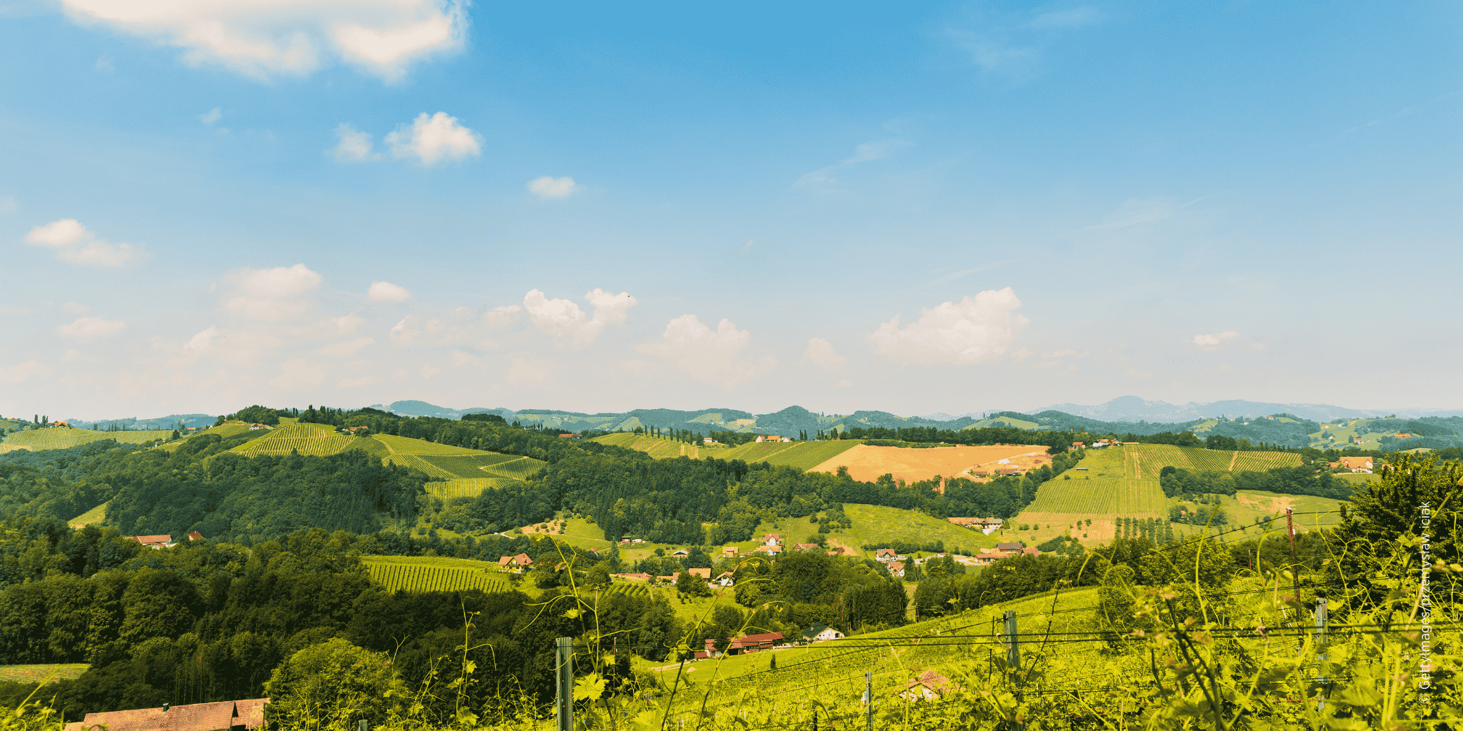 Weinberge in der Südsteiermark bei Leibnitz mit Blick über die Hügellandschaft der Region
