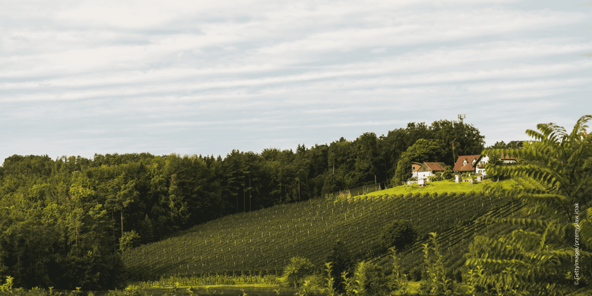 Hügellandschaft bei Puch nahe Weiz mit Wiesen, Feldern und sanften Hügeln
