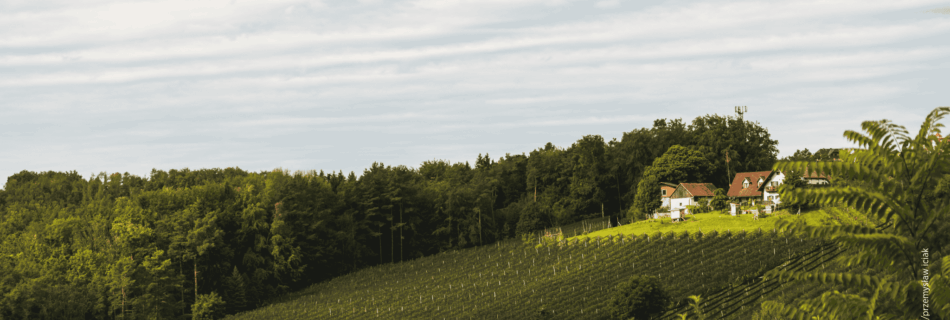 Hügellandschaft bei Puch nahe Weiz mit Wiesen, Feldern und sanften Hügeln