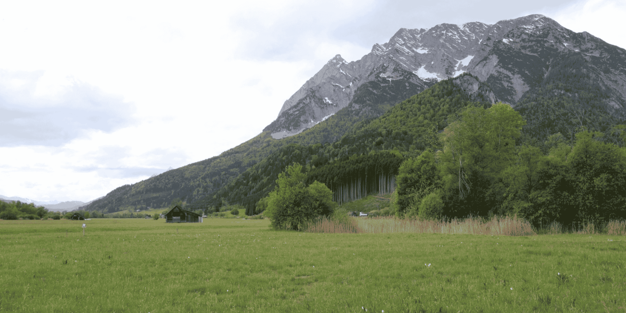 Trockene Wiese ohne Iris-Blüte im Naturschutzgebiet Trautenfels