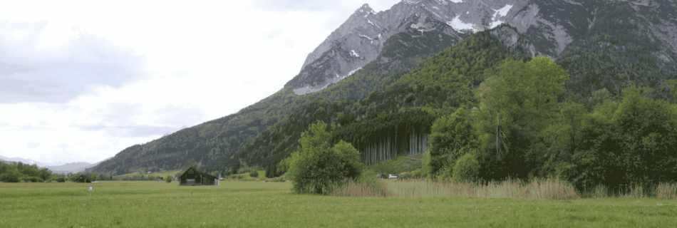 Trockene Wiese ohne Iris-Blüte im Naturschutzgebiet Trautenfels