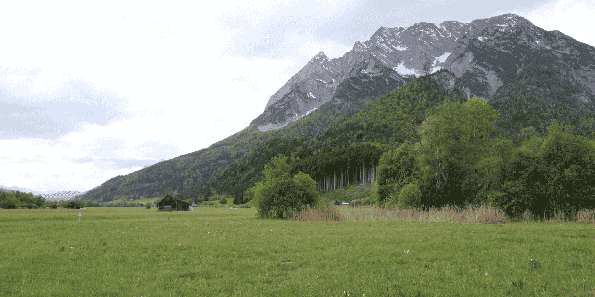 Trockene Wiese ohne Iris-Blüte im Naturschutzgebiet Trautenfels