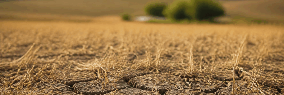 Trockener, rissiger Ackerboden vor einer sommerlichen Agrarlandschaft.