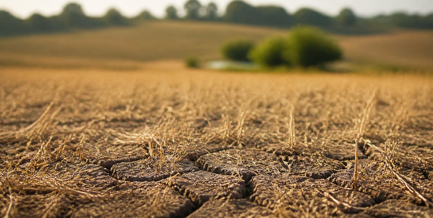 Trockener, rissiger Ackerboden vor einer sommerlichen Agrarlandschaft.