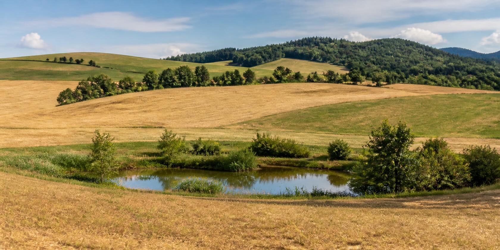 Trockene Wiesen und Felder rund um einen kleinen Landschaftsteich in einer hügeligen steirischen Landschaft.